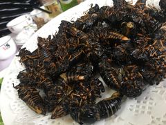 -宾朋海鲜特色美食餐厅·纯手工鲅鱼水饺(兴海路店)