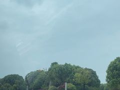 -苏州湾体育公园