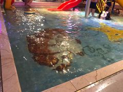 -水晶之星洗浴温泉汗蒸