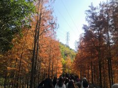 -梅峰山地公园