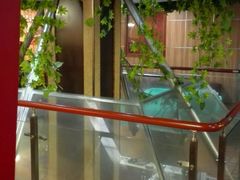 -段氏龙虾(原草高支路店)