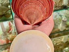 -凯华海鲜火锅·传承三十六年