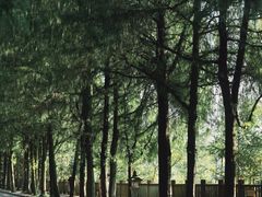 -天台山景区