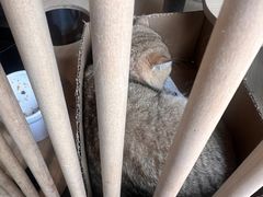 -愉肴麻辣香锅(中山路店)