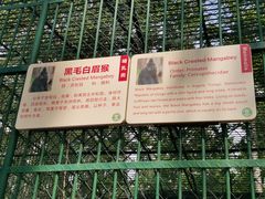 -秦皇岛野生动物园