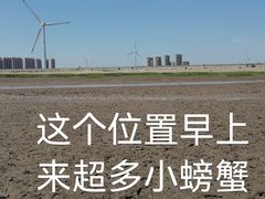 -启东黄金海滩景区