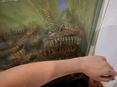 -海盗餐厅