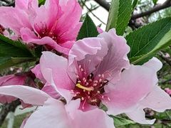 -汉长安城未央宫国家考古遗址公园