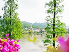 -美的鹭湖森林度假区