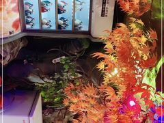 -醉小酒馆·川菜·江湖菜·重庆菜(观音桥旗舰店)