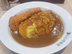 -CoCo壱番屋