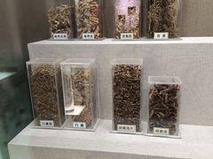 -北京中医药大学-中医药博物馆