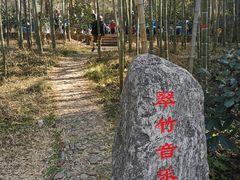 -紫金山山顶公园