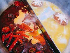 红颜花胶鸡锅-湊湊火锅·茶憩(石家庄万象城店)