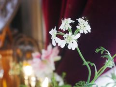 -花·fleur古董西餐厅(西城夜未央店)