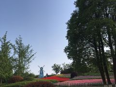 -铁山坪森林公园