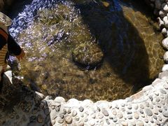 -野三坡清泉山风景区