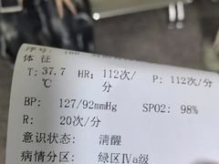 -老陈婆手工面庄