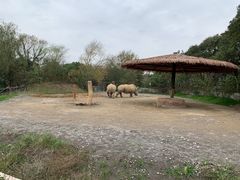 -宁波野生动物园