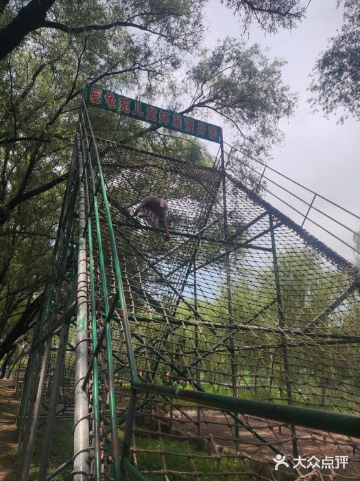 东方巨龟苑景区图片