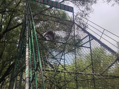 -东方巨龟苑景区