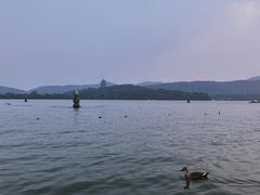 -西湖游船