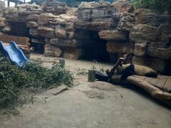 -石家庄市动物园