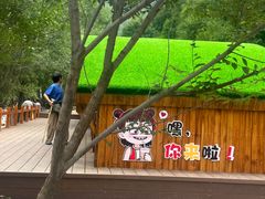 -小五台金河景区