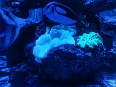 -上和臻品中国菜(花园街店)