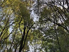 -昭山风景名胜区