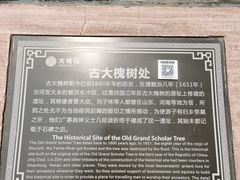 -大槐树寻根祭祖园