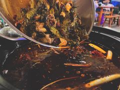 -金海椒罐罐鲢鱼(东方桂苑店)