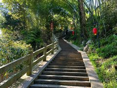 -十八棵（老龙井）御茶园(老龙井店)