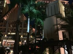 -三亚湾红树林度假世界(木棉酒店)