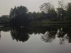 -尚贤河湿地