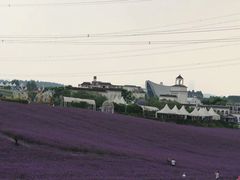 -紫颐香薰山谷景区