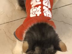 -鸡脚旮旯(苏州中心店)
