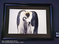 -罗红摄影艺术馆