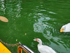 -团结湖公园