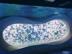 -海合安天津极地海洋公园