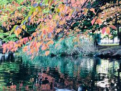 -北海道厅旧本厅舍(旧本庁舎)