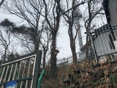-灵顺寺