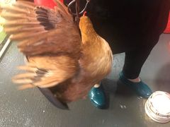 -生态苑农庄(十里画廊遇龙河店)