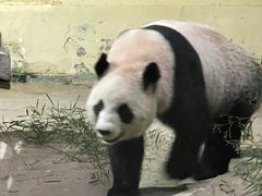 -杭州野生动物世界
