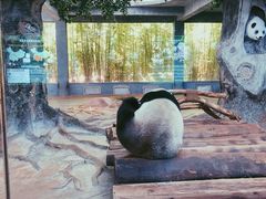 -海南热带野生动植物园