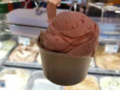 -Dooley's Premium Ice Cream