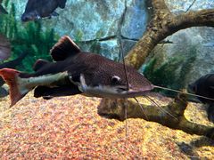 -沈阳海洋探索中心