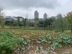 -沐仙湖湿地公园