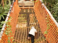 -呀路古热带植物园