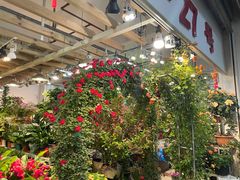 -双季花艺园艺市场(浦东店)